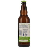 Thistly Cross - Elderflower Cider (MHD: 06/26)