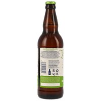 Thistly Cross - Elderflower Cider (MHD: 09/26)